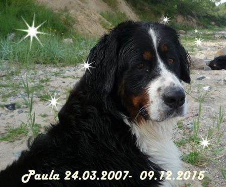 Paula-Abschied-10122015