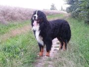 Filou3